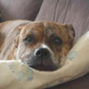 Meet your Posher, Anne